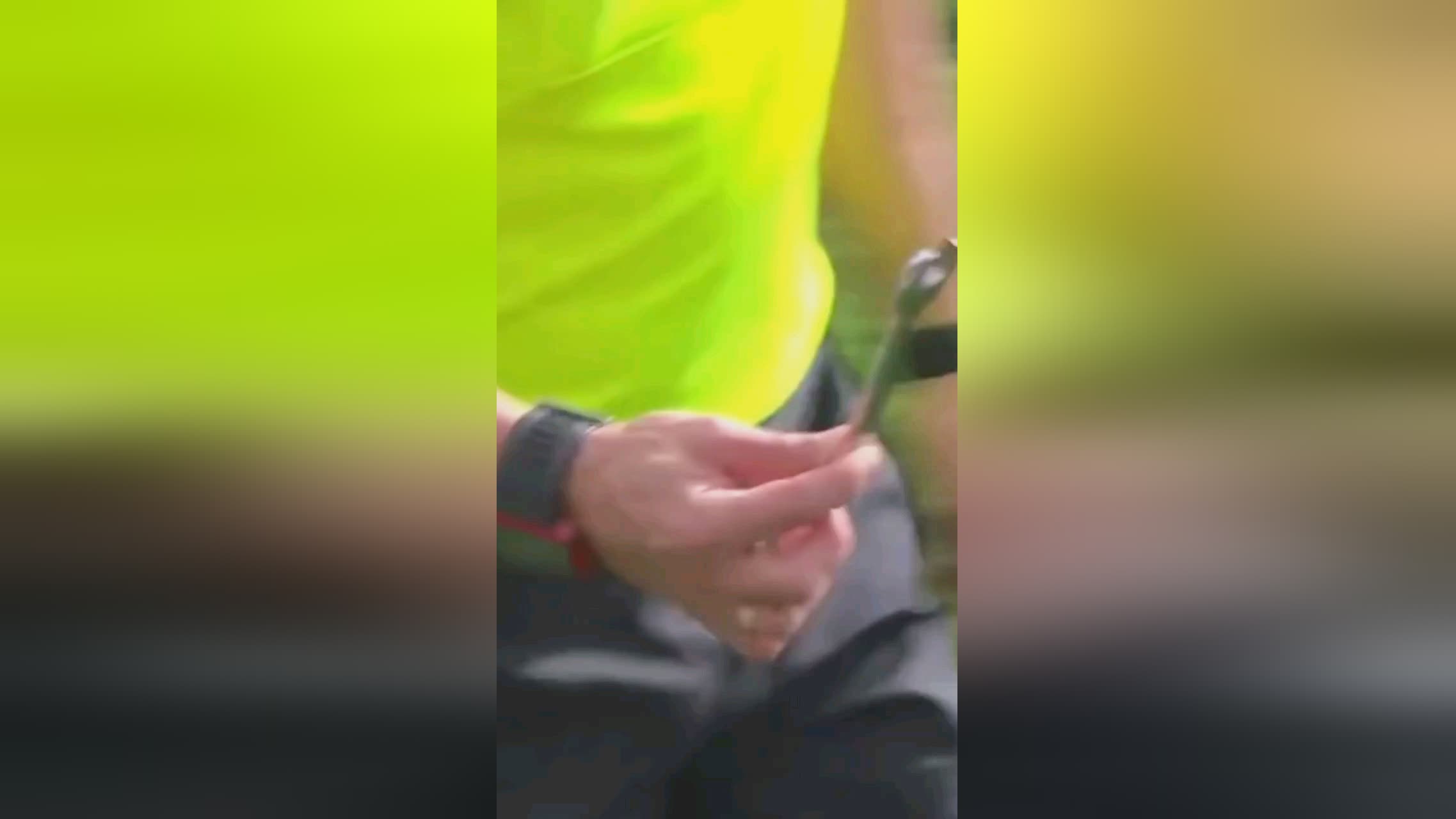 的性格赢